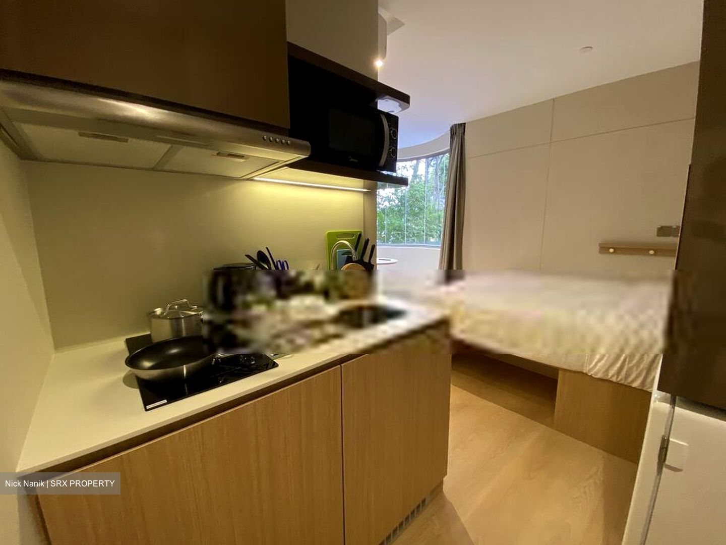 Mount Elizabeth Link (D9), Apartment #475553471
